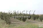 Plac, Srbobran, Centar, prodaja, 63000m2, 290000e, id1374937