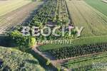 Plac, Srbobran, Centar, prodaja, 63000m2, 290000e, id1374937