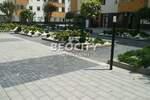 Dvosoban stan, Novi Sad, Rotkvarija, izdavanje, 50m2, 700e, id1374939