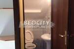 Trosoban stan, Novi Sad, Centar, izdavanje, 53m2, 430e, id1374989