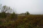 Plac, Beograd, Rucka, prodaja, 9600m2, 25000e, id1375069