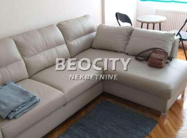 Jednosoban stan, Novi Sad, Detelinara, izdavanje, 30m2, 300e, id1375073