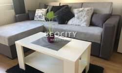 Jednosoban stan, Novi Sad, Socijalno, izdavanje, 28m2, 350e, id1375074