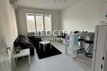Dvosoban stan, Beograd, Vračar (centar), izdavanje, 39m2, 700e, id1375139