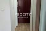 Jednosoban stan, Novi Sad, Bulevar Patrijarha Pavla, izdavanje, 26m2, 300e, id1375141