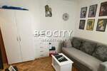 Jednosoban stan, Novi Sad, Centar, izdavanje, 24m2, 250e, id1375178
