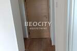Dvosoban stan, Novi Sad, Liman 4, izdavanje, 40m2, 320e, id1375228