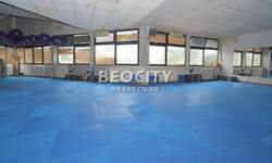 Poslovni prostor / Lokal, Beograd, Banovo Brdo, prodaja, 273m2, 462000e, id1375319
