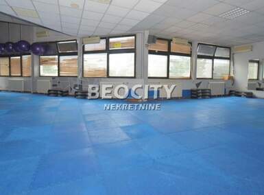 Poslovni prostor / Lokal, Beograd, Banovo Brdo, prodaja, 273m2, 462000e, id1375319