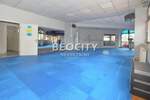 Poslovni prostor / Lokal, Beograd, Banovo Brdo, prodaja, 273m2, 462000e, id1375319