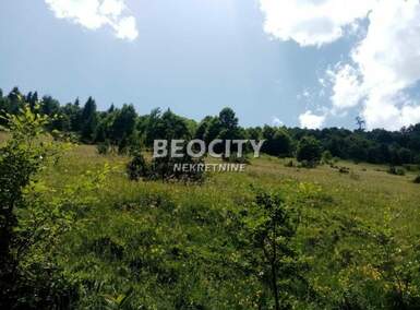 Plac, Ivanjica, Golija, prodaja, 10000m2, 20000e, id1375327