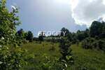 Plac, Ivanjica, Golija, prodaja, 10000m2, 20000e, id1375327