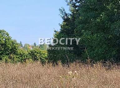 Plac, Beograd, Konatice, prodaja, 20200m2, 110000e, id1375466