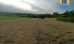Plac, Beograd, Popović, prodaja, 0m2, 55000e, id1351752
