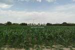 Plac, Novi Sad, prodaja, 700m2, 95000e, id1375665