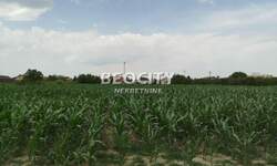 Plac, Novi Sad, prodaja, 700m2, 95000e, id1375665