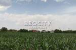 Plac, Novi Sad, prodaja, 700m2, 95000e, id1375665