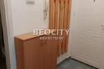 Jednosoban stan, Novi Sad, Centar, izdavanje, 30m2, 250e, id1375751