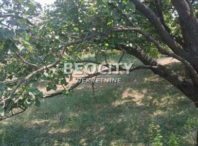 Plac, Beočin, Dumbovo, prodaja, 1300m2, 42000e, id1375770