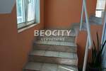 Kuca, Beograd, Zemun (centar), prodaja, 330m2, 590000e, id1375777