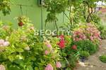 Kuca, Kovin, Centar, prodaja, 95m2, 50000e, id1375796