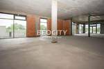 Poslovni prostor / Lokal, Beograd, Zemun (novi Grad), izdavanje, 330m2, 3300e, id1375836