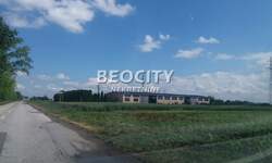 Plac, Novi Sad, Futog, prodaja, 2200m2, 540000e, id1375918