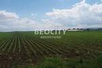 Plac, Novi Sad, Futog, prodaja, 2200m2, 540000e, id1375918