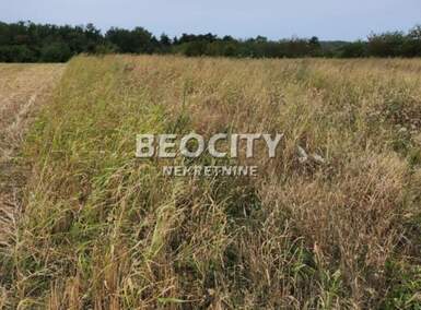Plac, Beograd, Sremčica, prodaja, 7900m2, 293160e, id1375930