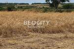 Plac, Beograd, Sremčica, prodaja, 10000m2, 400000e, id1375931