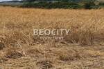 Plac, Beograd, Sremčica, prodaja, 10000m2, 400000e, id1375931