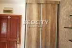 Jednosoban stan, Novi Sad, Centar, izdavanje, 20m2, 300e, id1375987