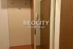 Dvosoban stan, Novi Sad, Centar, izdavanje, 37m2, 500e, id1375988