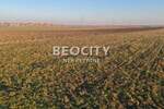 Plac, Beograd, Batajnica, prodaja, 4600m2, 206280e, id1376052