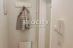 Jednosoban stan, Novi Sad, Centar, izdavanje, 36m2, 500e, id1376131