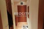 Dvosoban stan, Novi Sad, Centar, izdavanje, 38m2, 500e, id1376167