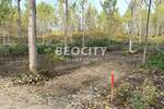 Plac, Beograd, Borča Iii, prodaja, 300m2, 27000e, id1376241