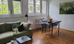 Dvosoban stan, Beograd, Centar, izdavanje, 55m2, 800e, id1362781