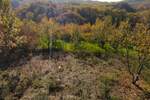 Plac, Niš, Berbatovo, prodaja, 400m2, 8000e, id1376264
