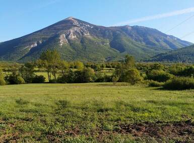 Plac, Boljevac, Mirovo, prodaja, 0m2, 59000e, id1336539