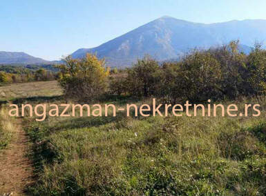 Plac, Boljevac, Jablanica, prodaja, 0m2, 20800e, id819522