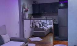 Jednoiposoban stan, Novi Sad, Detelinara, izdavanje, 34m2, 330e, id1370791