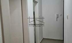 Jednoiposoban stan, Novi Sad, Detelinara, izdavanje, 30m2, 350e, id1370792