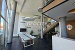 Poslovni prostor / Lokal, Novi Sad, Telep, izdavanje, 280m2, 2800e, id1376369