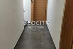 Dvosoban stan, Novi Sad, Centar, izdavanje, 45m2, 450e, id1376402
