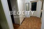 Trosoban stan, Novi Sad, Liman 2, izdavanje, 75m2, 450e, id1376421