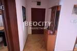 Trosoban stan, Novi Sad, Centar, izdavanje, 72m2, 750e, id1376683