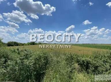 Plac, Stara Pazova, Krnješevci, prodaja, 11000m2, 359000e, id1376689