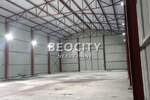 Poslovni prostor / Lokal, Beograd, Dobanovci, izdavanje, 600m2, 2500e, id1376763