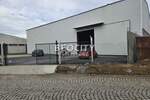 Poslovni prostor / Lokal, Beograd, Dobanovci, izdavanje, 600m2, 2500e, id1376763